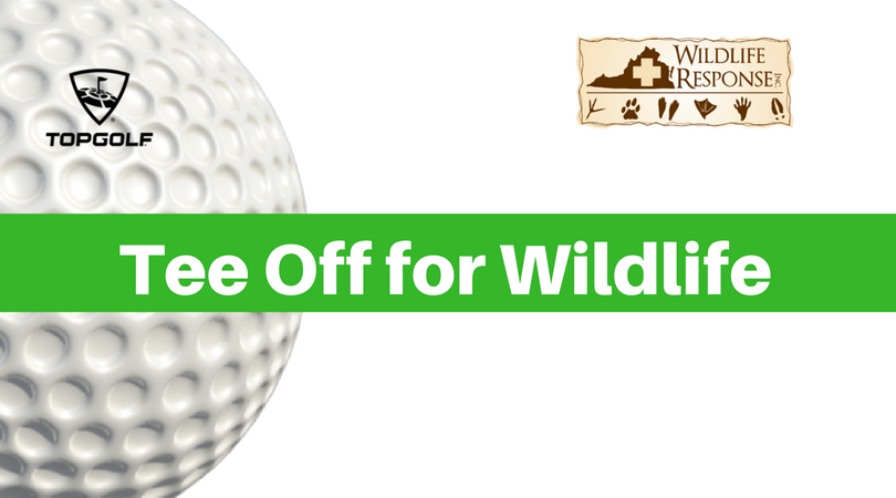 TeeOffforWildlife