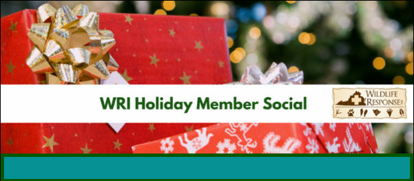 holidaymembersocial