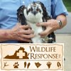 Osprey3