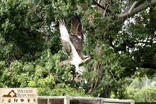 IMG_8141_1