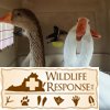 Geese